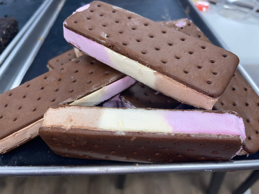 Freeze Dried Ice Cream Sammy