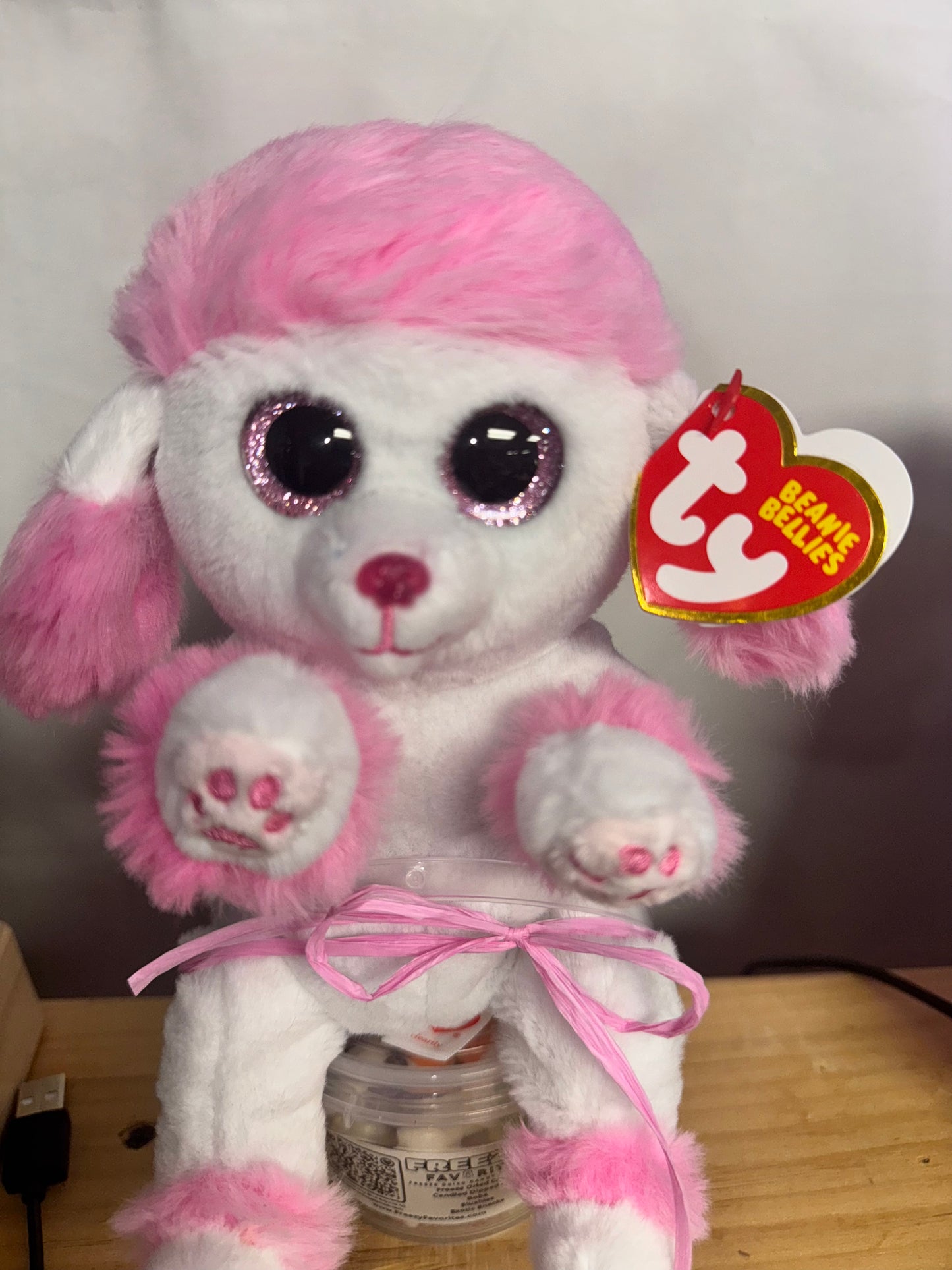 Heartly the Beanie Boo with Freeze-Dried Ittles The Perfect Valentine Gift!