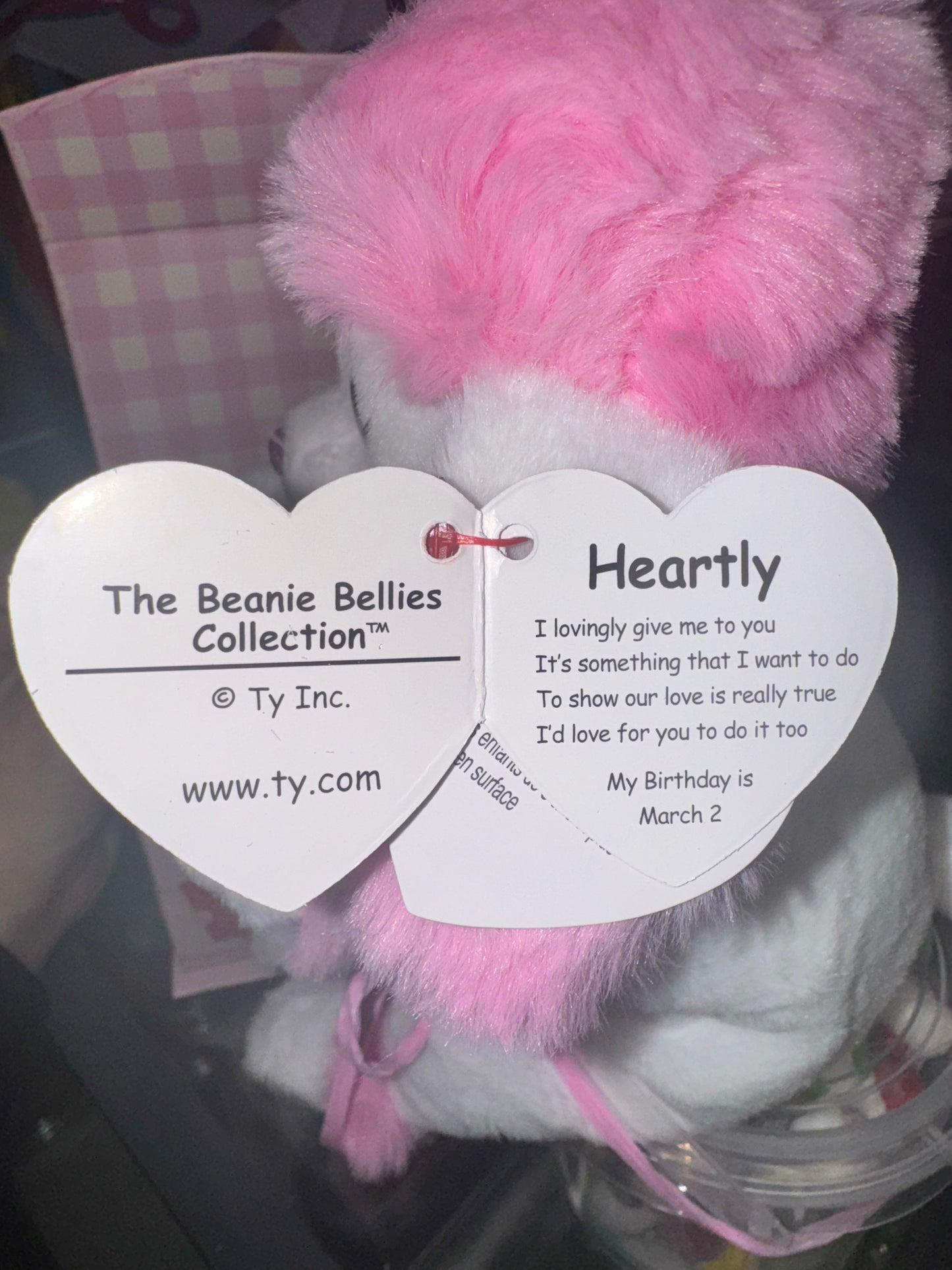 Heartly the Beanie Boo with Freeze-Dried Ittles The Perfect Valentine Gift!